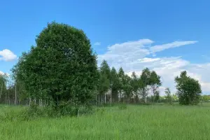 Коттеджный посёлок Искона Парк