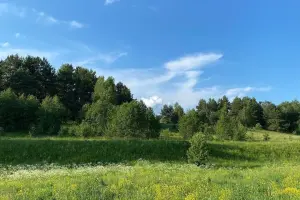 Коттеджный посёлок Искона Парк