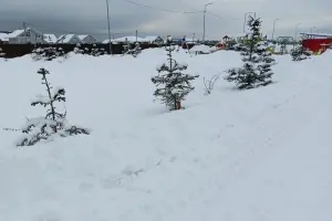 Коттеджный посёлок Лопотово Парк