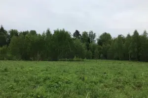 Коттеджный посёлок Подпоринские дачи