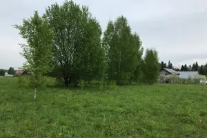 Коттеджный посёлок Подпоринские дачи