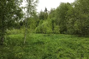 Коттеджный посёлок Подпоринские дачи