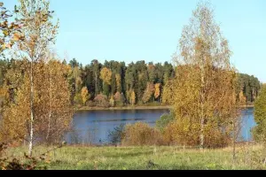 Коттеджный посёлок Руза Хутор