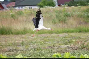 Коттеджный посёлок Руза Хутор
