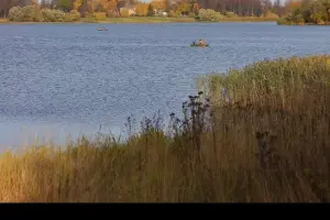 Коттеджный посёлок Руза Хутор