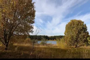 Коттеджный посёлок Руза Хутор