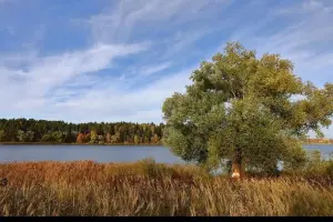 Коттеджный посёлок Руза Хутор