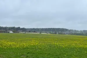 Коттеджный посёлок Подпоринские просторы