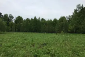 Коттеджный посёлок Подпоринские просторы