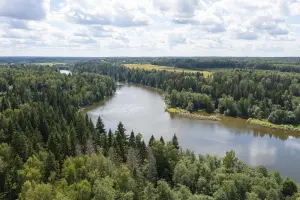 Коттеджный посёлок Петряиха