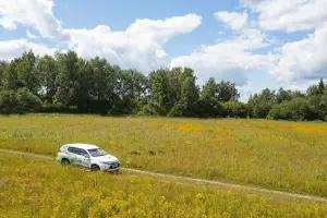 Коттеджный посёлок Петряиха