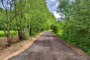 Коттеджный посёлок Тюльпаново Village