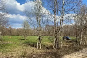 Коттеджный посёлок Тюльпаново Village