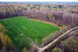 Коттеджный посёлок Тюльпаново Village