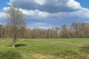 Коттеджный посёлок Тюльпаново Village