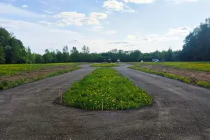 Коттеджный посёлок Тюльпаново Village