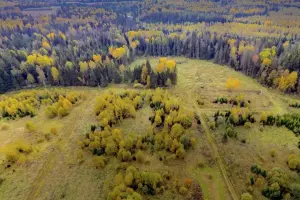 Коттеджный посёлок Расцветаево