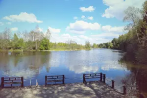 Коттеджный посёлок EastЛандия