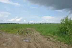 Коттеджный посёлок Лобаново