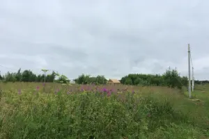 Коттеджный посёлок Назарьево