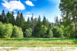 Коттеджный посёлок Новорижский лес Гребеньки