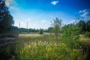 Коттеджный посёлок Новорижский лес Гребеньки