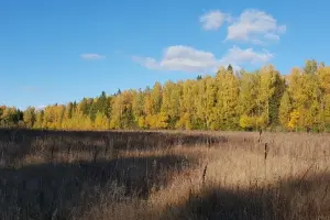 Коттеджный посёлок Поляны