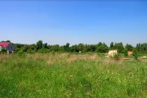 Коттеджный посёлок Чистые пруды Клин