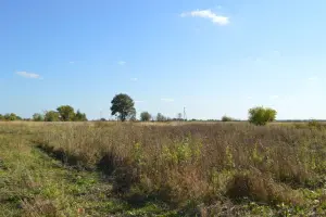 Коттеджный посёлок Рыболово