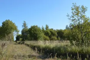 Коттеджный посёлок Рыболово