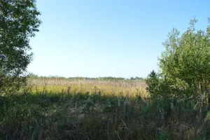 Коттеджный посёлок Рыболово