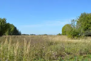 Коттеджный посёлок Рыболово