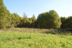 Коттеджный посёлок Рыболово