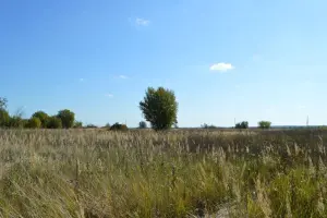 Коттеджный посёлок Рыболово