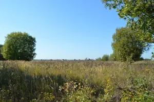 Коттеджный посёлок Рыболово