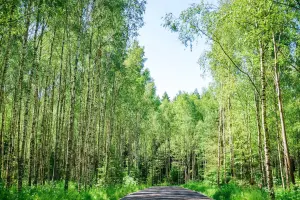 Коттеджный посёлок White Park