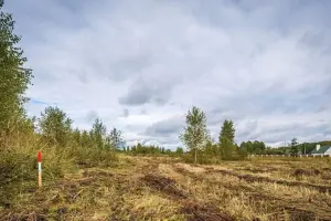 Коттеджный посёлок Сапроново