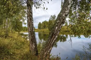 Коттеджный посёлок Сапроново