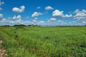 Коттеджный посёлок Рыболово 2