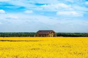 Коттеджный посёлок Shelkovo Forest