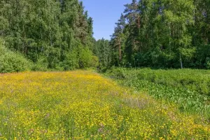 Коттеджный посёлок Shelkovo River