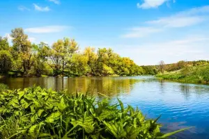 Коттеджный посёлок Shelkovo River