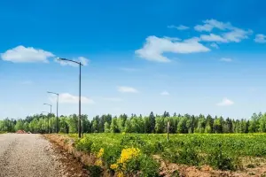 Коттеджный посёлок Green Forest Park