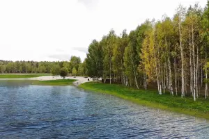 Коттеджный посёлок Green Forest Premium