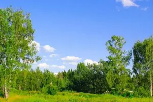 Коттеджный посёлок Трубино Парк