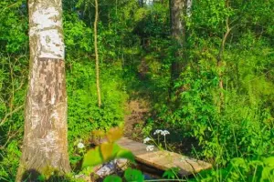 Коттеджный посёлок Трубино Парк