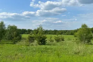 Коттеджный посёлок Кузяево Вилладж