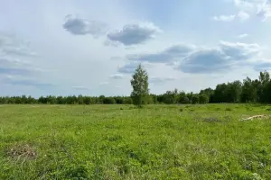 Коттеджный посёлок Кузяево Вилладж