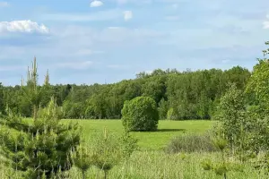 Коттеджный посёлок Кузяево Вилладж