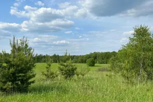Коттеджный посёлок Кузяево Вилладж